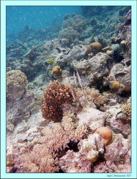 2011 - 08 - Bohey Dulang Island 10